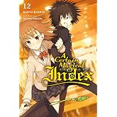 A Certain Magical Index, Vol. 12 (light novel) (Volume 12)