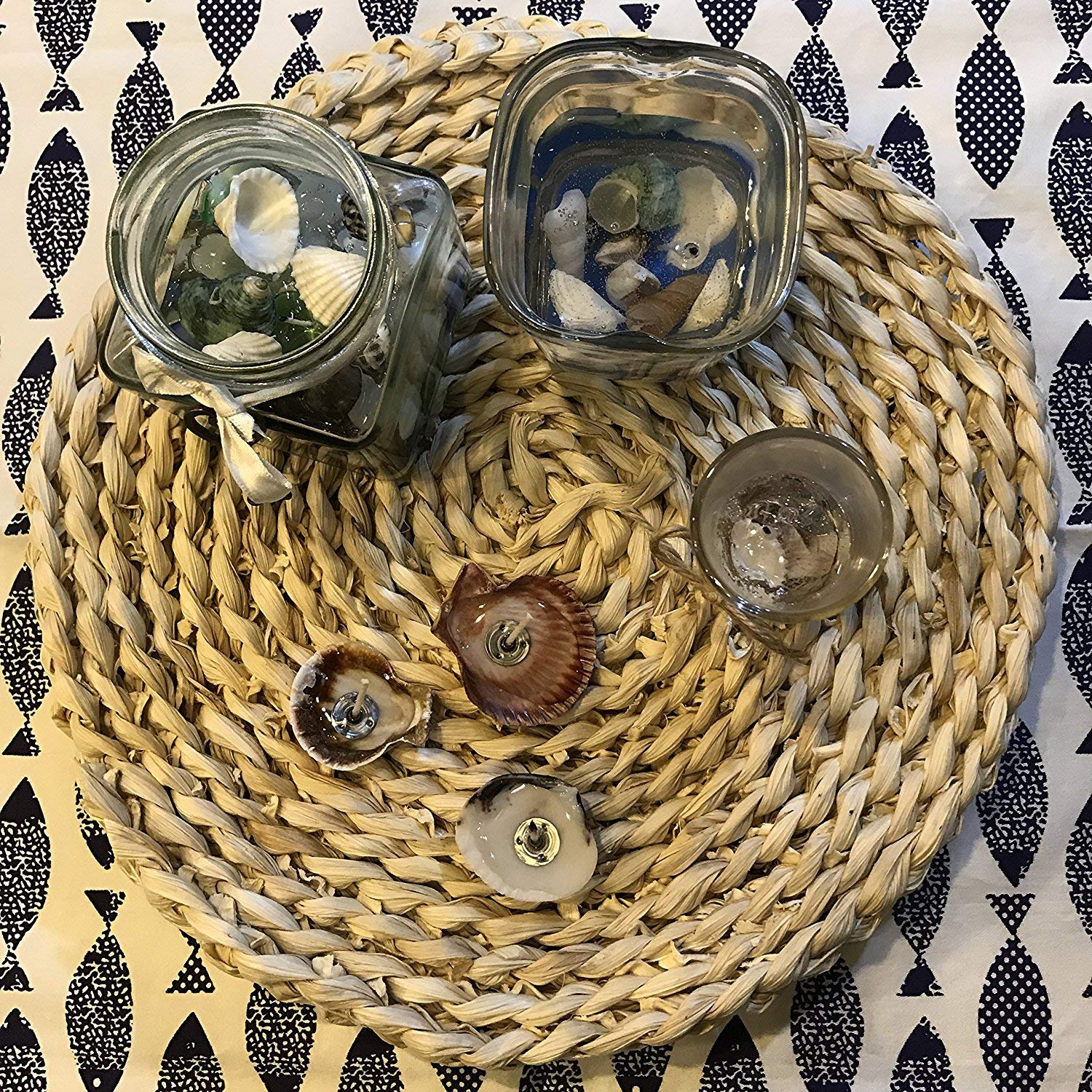 LoveInUSA Sea Shell Assortment, Sea Shells with Jar Mixed Natural Beach Decorative Seashells for DIY Home Gifts Crafting 50~70 PCS Valentine\'s Day Gifts