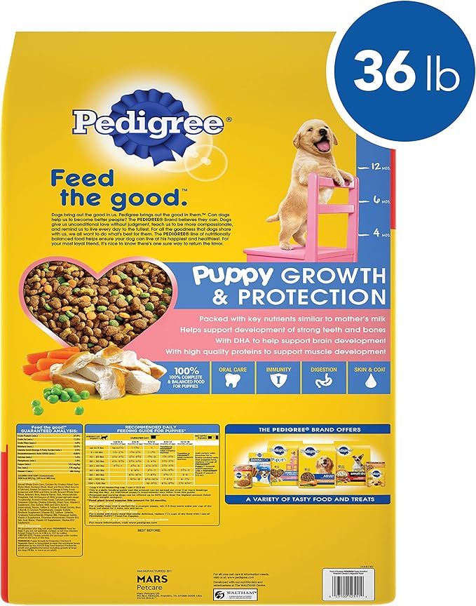 pedigree dog food amount to feed