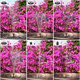 AISITIN 3.5W Solar Fountain Pump with 1500mAh Battery Backup Circle view 4