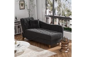 DAMAIFROM Chaise Lounge Chair Indoor with Storage, Adjustable Armrest Recling Reading Chair Sleeper Sofa Bed with Pillow, 3 in 1 Velvet Futon Lounge Chair for Living Room Playroom, Black