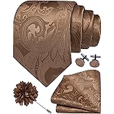 GUSLESON Paisley Tie Set for Men 3.15" Necktie Lapel Pin Hankerchief Cufflinks Set for Men