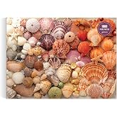 Galison - Vibrant Seashells 1000 Piece Jigsaw Puzzle for Adults | Photograph by Christine Chitnis, Beach, Coastal, Ocean, Challenging, Recycled Paper, No Dust, Finished Size 27" x 20"