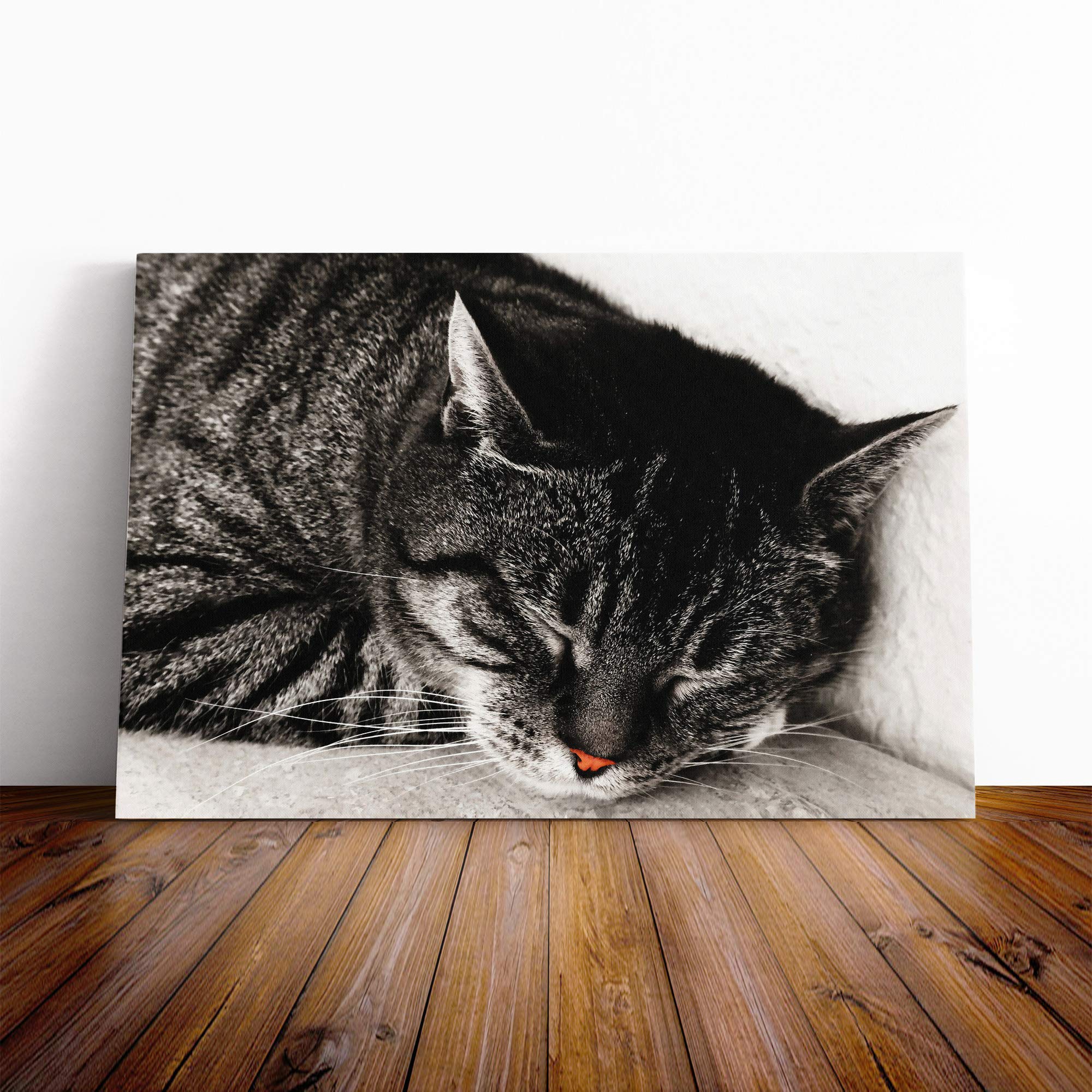Big Box Art Canvas Print Wall Art British Shorthair Cat 2 | Mounted and Stretched Box Frame Picture | Home Decor for Kitchen, Living, Dining Room, Bedroom, Hallway, Multi-Colour, 20x14 Inch