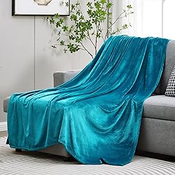 DREAMNINE Large Soft Fuzzy Flannel Fleece Throw