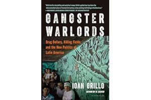 Gangster Warlords: Drug Dollars, Killing Fields, and the New Politics of Latin America