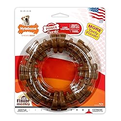 Nylabone Power Chew Textured Dog Chew Ring Toy, Dog