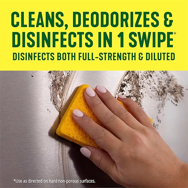 PINE-SOL MULTI-SURFACE CLEANER, ORIGINAL, 20 FLUID OUNCES
