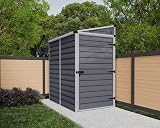Palram Canopia Skylight 4x6 Lean-to Shed Gray Polycarbonate Aluminum Frame view 2