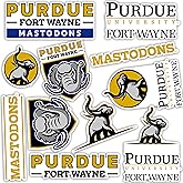 Desert Cactus Purdue University Fort Wayne Campus Sticker Vinyl Decal Laptop Water Bottle Car Scrapbook Sheet (Type 2)
