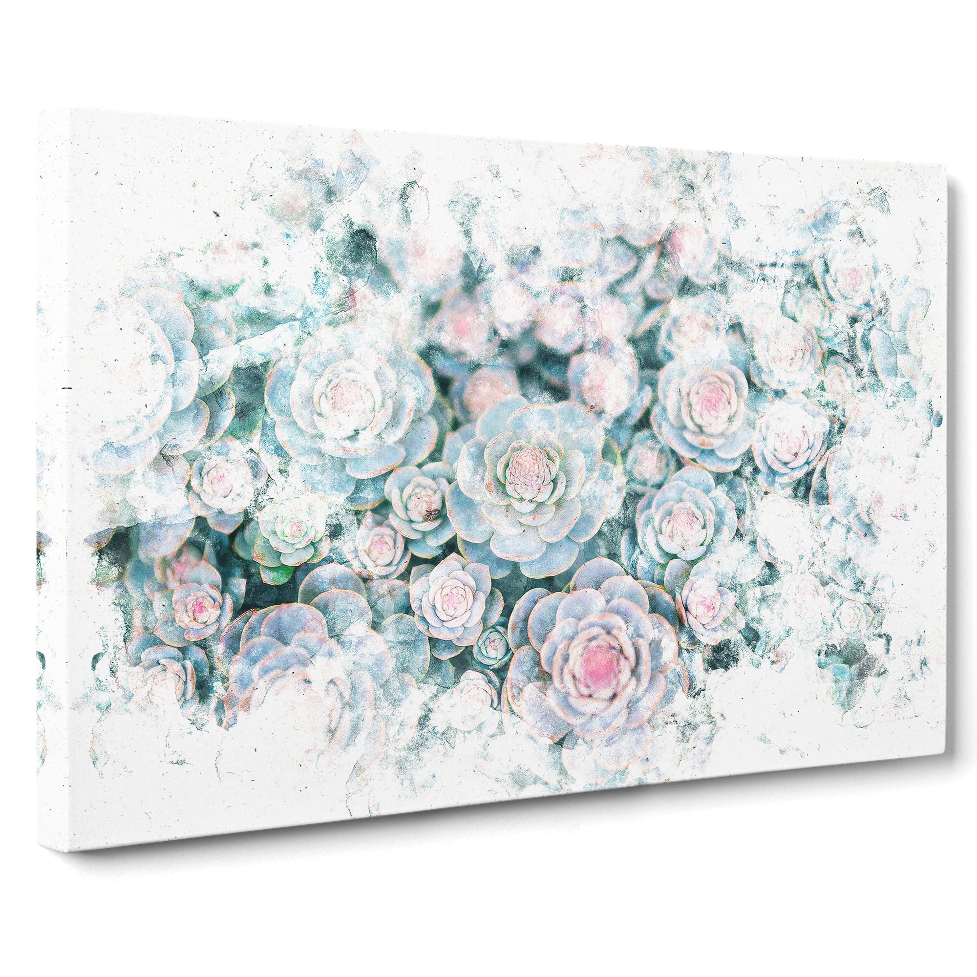 Succulent Plants Abstract Watercolour Canvas Print | Gallery Wrapped 30mm Frame Wall Art | 20x14 inches | Ready to Hang | Abstract Floral Picture | Living Room Bedroom Lounge Office