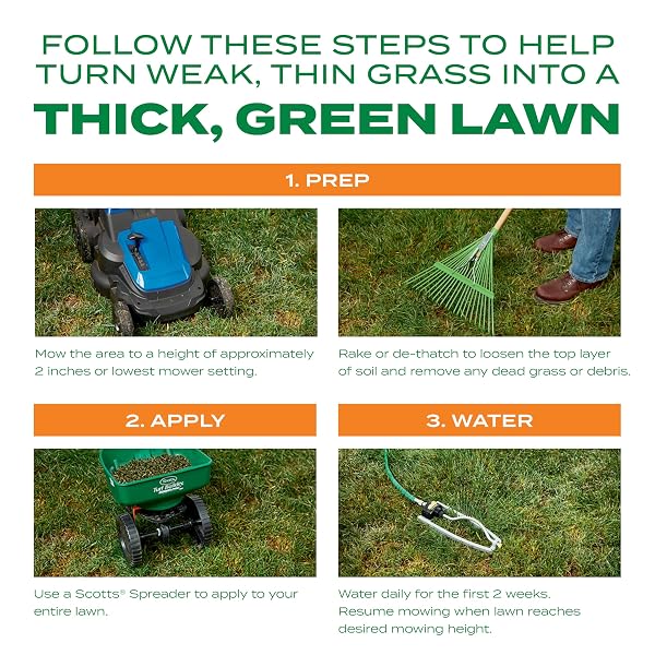 SCOTTS TURF BUILDER THICK’R LAWN BERMUDAGRASS – COVERS 1,200 SQ. FT., COMBINATION SEED, FERTILIZER AND SOIL IMPROVER, FILL AND REPAIR GAPS IN THIN LAWNS AND ENHANCE ROOT DEVELOPMENT, 12 LB.