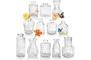 Der Rose 12pcs Small Glass Bud Vases Bulk, Clear Flower Vases for Home Dining Table & Wedding Centerpieces Decor