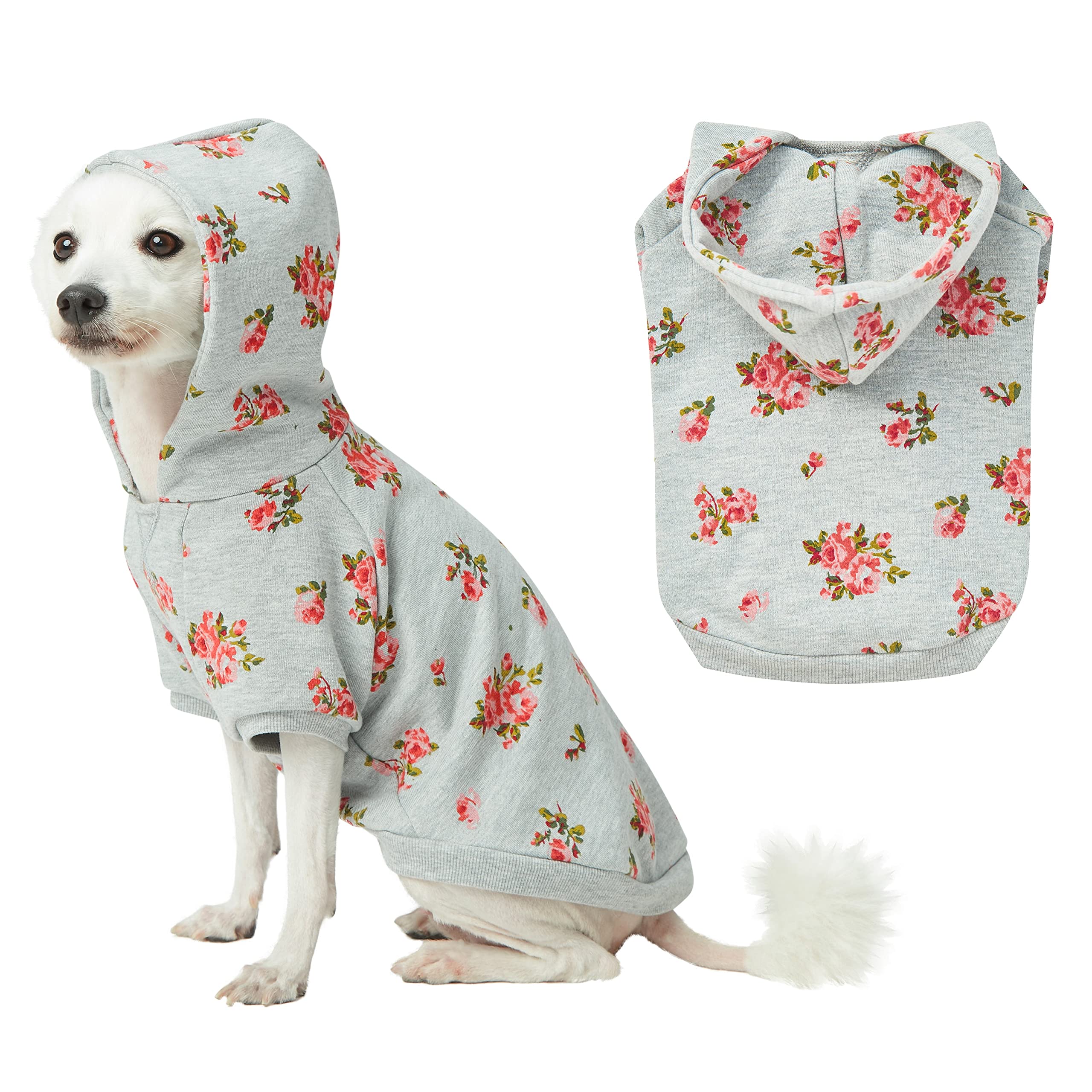 Blueberry Pet 2019 New Spring Scent Inspired Rose Flower Pullover Dog Hooded Sweatshirt in Stylish Grey, Back Length 36cm, Pack of 1 Clothes for Dogs