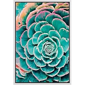 SIGNWIN Framed Canvas Wall Art Tropical Succulent Plant...
