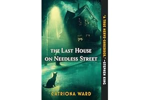 The Last House on Needless Street