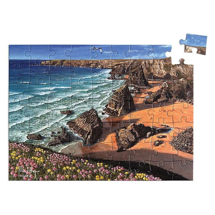 Buy Relish 63 Piece Wild Coast Dementia Jigsaw Puzzle Dementia