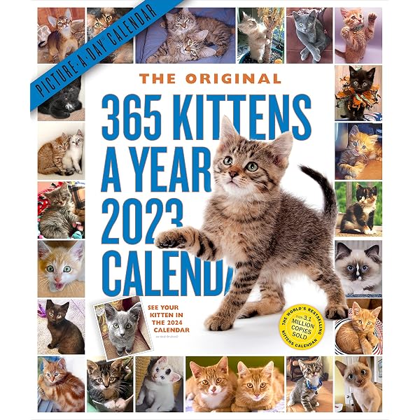 365 Kittens-A-Year Picture-A-Day Wall Calendar 2023: Absolutely Spilling  Over With Kittens: Workman Calendars: 9781523515837: Amazon.com: Books
