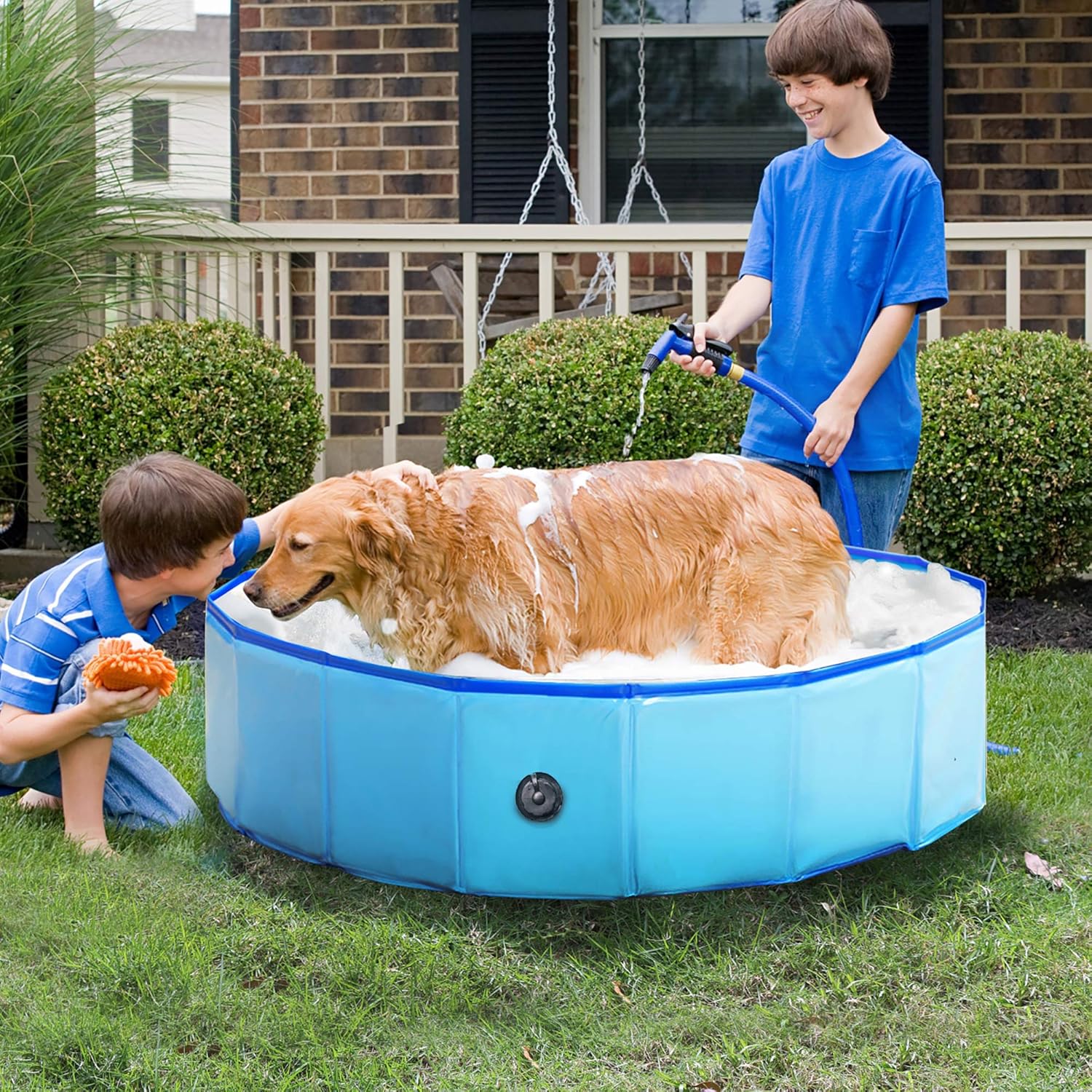 swimming pool whelping box