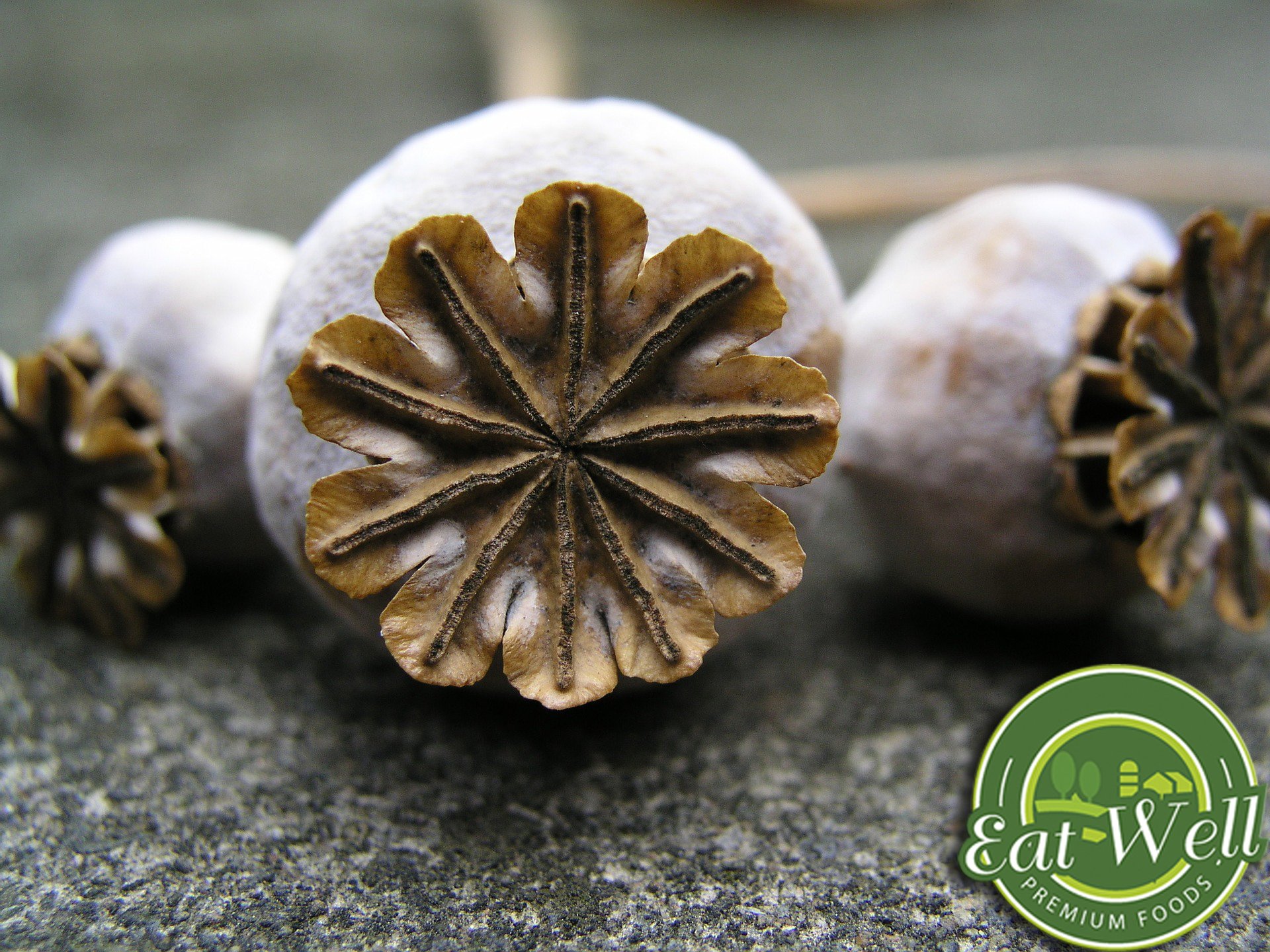 Whole Edible Poppy Seeds | Raw Poppy Seeds For Baking | 32oz (2 lbs