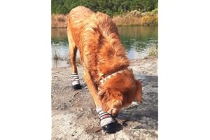 BARK BRITE All Weather Neoprene Paw Protector Dog Boots with Reflective Straps in 5 Sizes! (Multicolor XL)