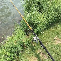 Daiwa ft surf rod fts Clearance