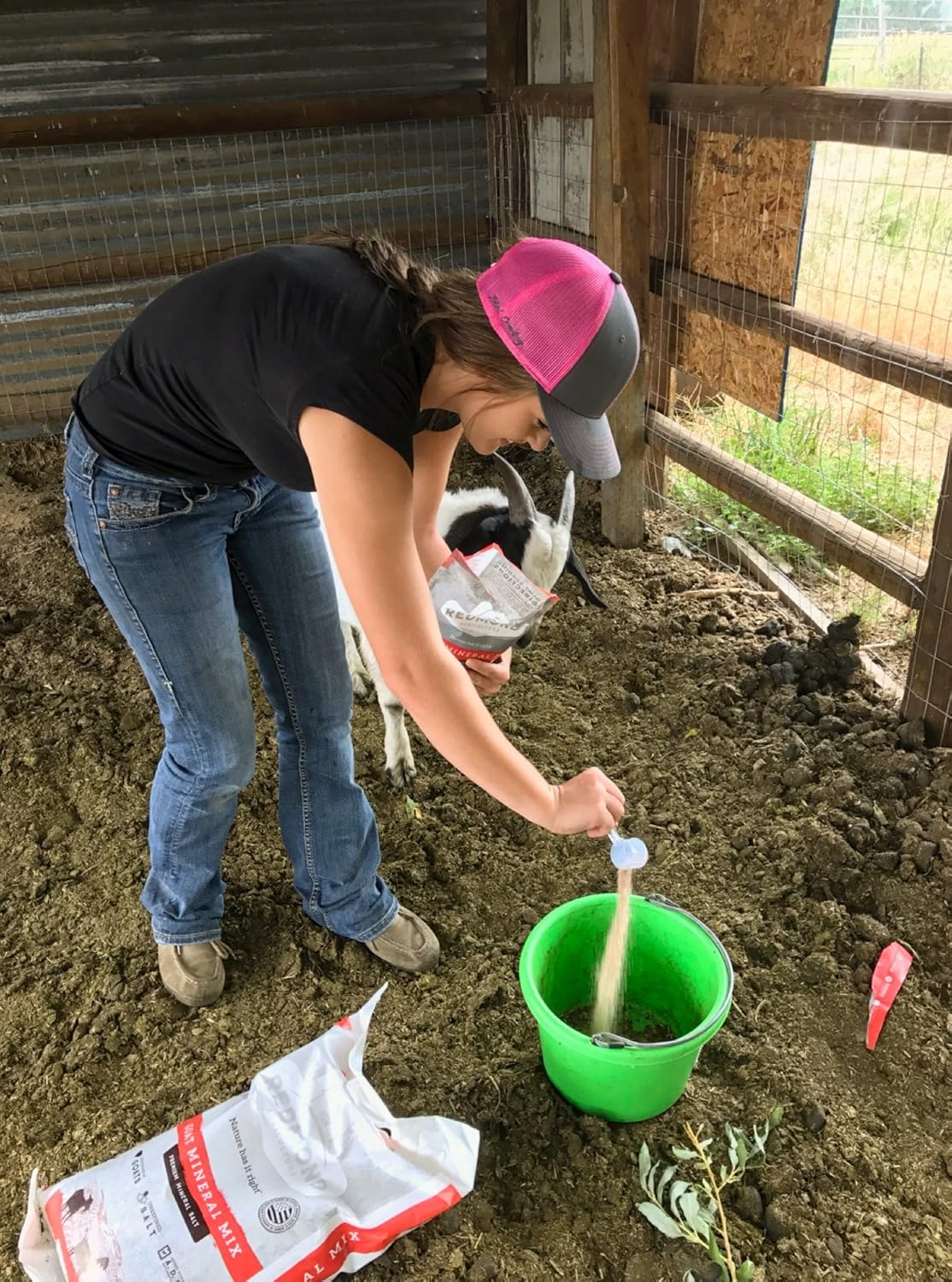 Redmond – Goat Mineral Supplement Mix, Unrefined Salt, 5 lbs: Health & Personal Care