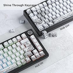XVX Shine Through Keycaps - PBT Dye Sub Keycap