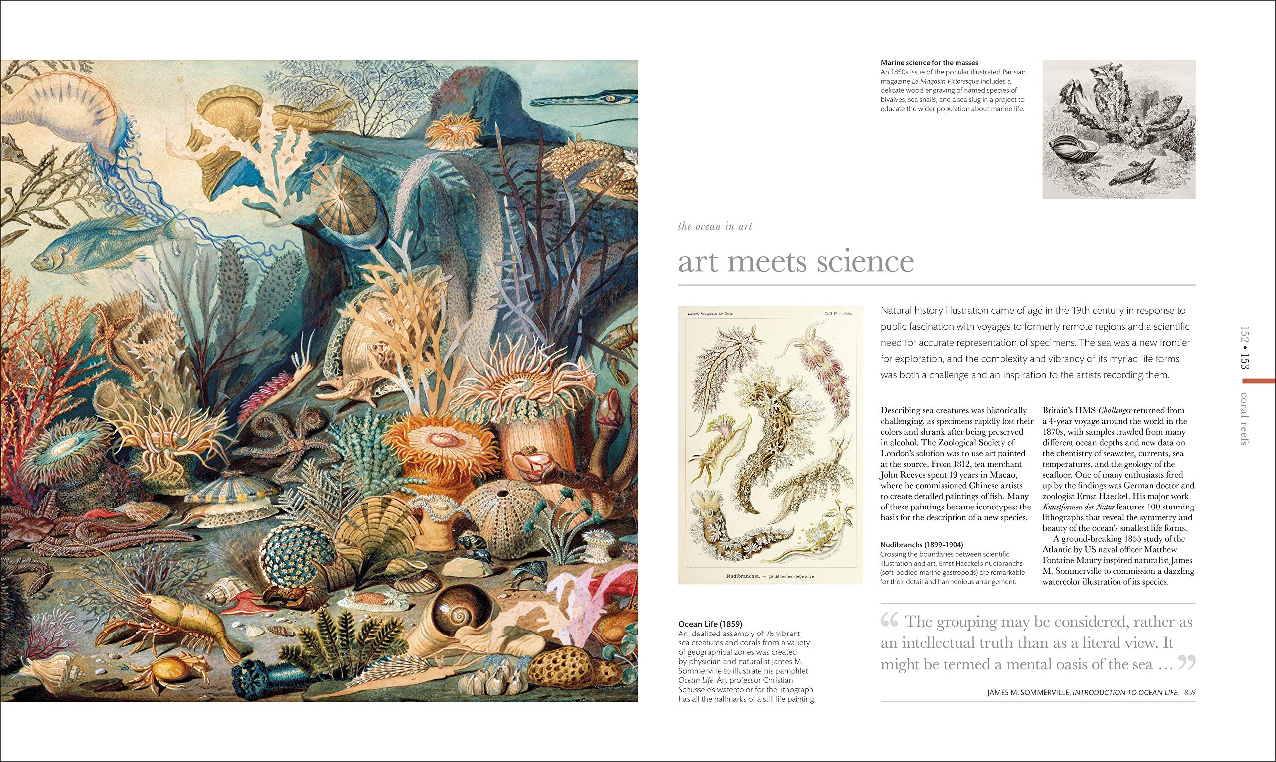 Oceanology: The Secrets of the Sea Revealed (DK Secret World Encyclopedias)