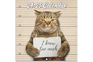 YOUTHAMAZING 2024-2025 Wall Calendar - SEP. 2024 - DEC. 2025, Funny Cat Calendar 2024-2025, 16-Month Calendar, Funny Cat Memes Pics, 12" x 24" Opened