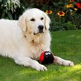 Petface Lindy the Ladybird Plush Dog Toy with Squeaker view 7
