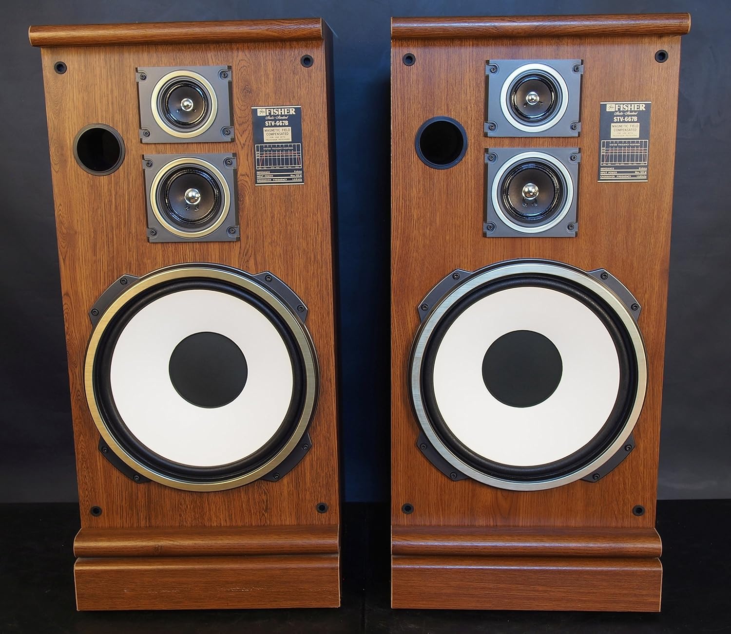 fisher floor standing speakers