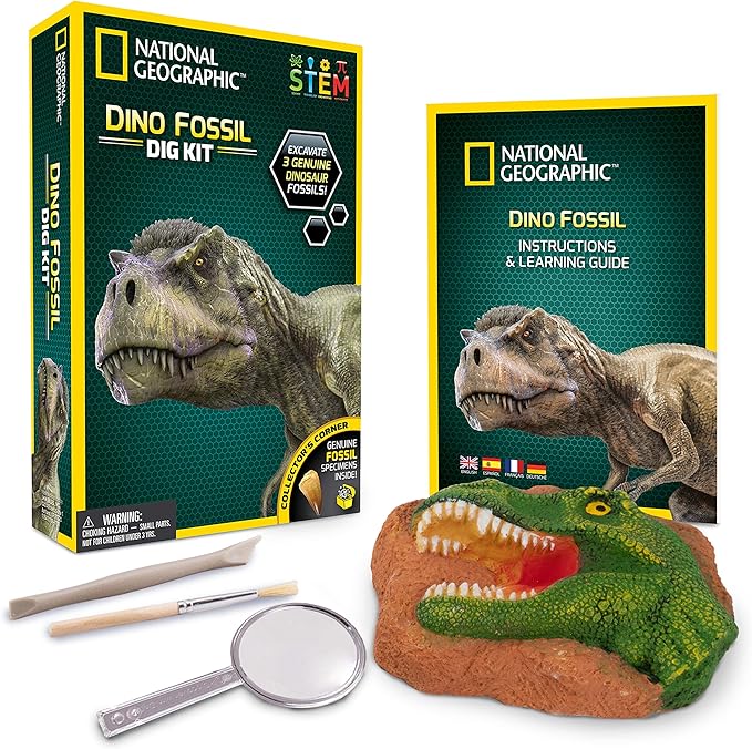 excavation kit dinosaur fossil dig it out