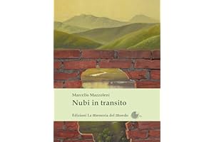 Nubi in transito (Italian Edition)