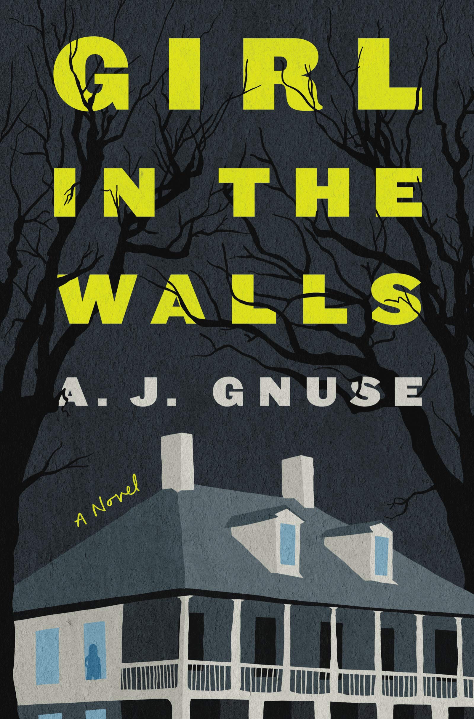Girl In The Walls A Novel Gnuse A J Amazon Com Books