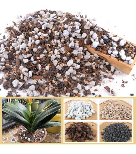 bambus unterhose herren Bambus Unterwsche, blau  BXTN