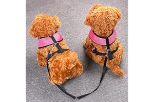 CozyCabin Dual Durable Dog Leash Strap No-Tangle for 2 Dogs Cats Small Pets for Walking Running and Training
