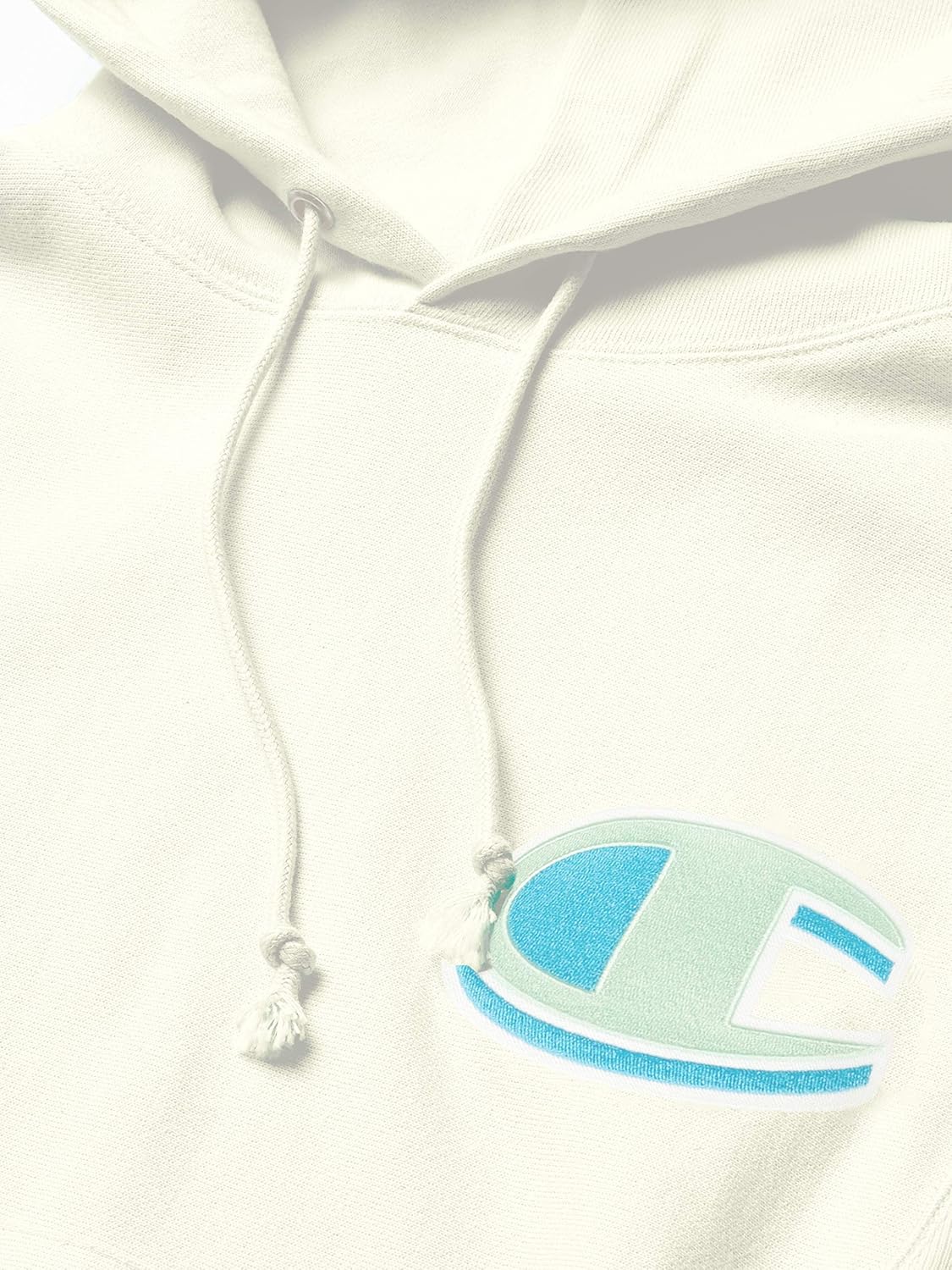 Champion LIFE Men's Reverse Weave Po Hood: Clothing