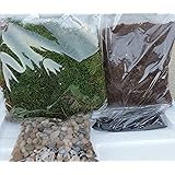 Terrarium Essentials Kit sold by JM Bamboo