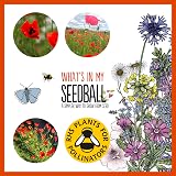 Seedball Poppy Seed Bombs Pack 100 Seed Balls Red Flowers Bees view 4