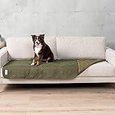 PetAmi Waterproof Couch Cover for Dogs, Waterproof Pet Blanket, Reversible Furniture Cover Sofa Protector for Pet Cat Bed, Washable Waterproof Blanket Dog Cover for Couch Seat, 30x70 Green