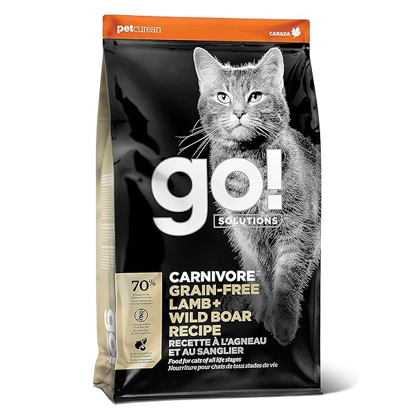 GO! SOLUTIONS CARNIVORE GRAIN FREE DRY CAT FOOD, 16 LB – LAMB + WILD BOAR RECIPE – PROTEIN RICH DRY CAT FOOD – COMPLETE + BALANCED NUTRITION FOR ALL LIFE STAGES