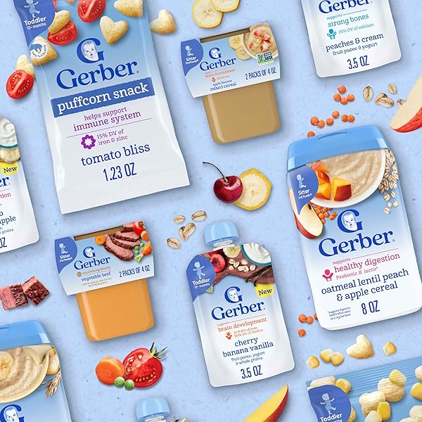 GERBER STAGE 2 BABY FOOD, CHICKEN RICE PUREE TUB, NOURISHING BLENDS, NO ADDED COLORS OR FLAVORS, BABY PUREE, 2-PACK