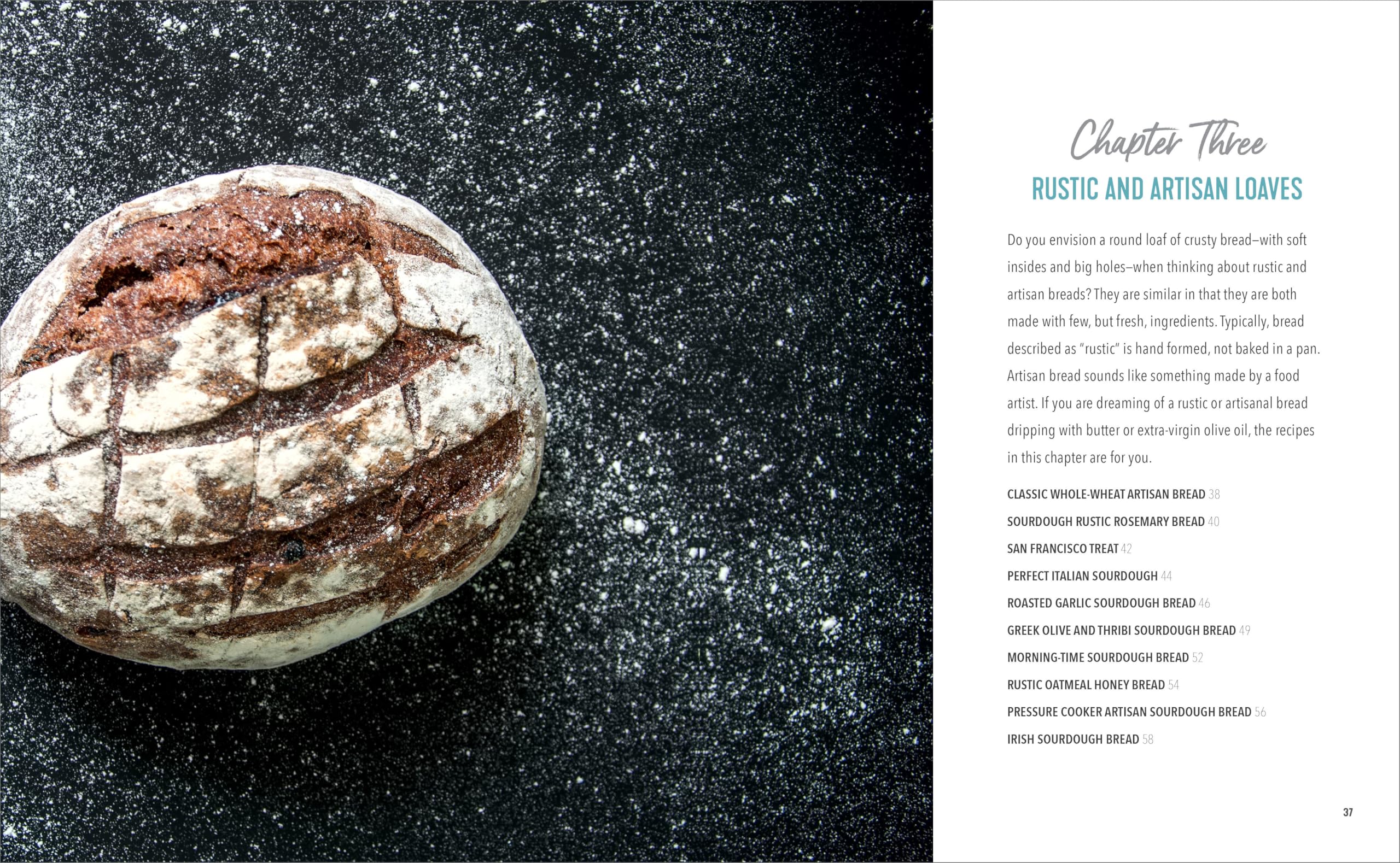 Starter Sourdough: The Step-by-Step Guide to Sourdough Starters, Baking Loaves, Baguettes, Pancakes, and More