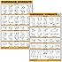 QuickFit 2 Pack Suspension Workout Posters - Volume 1 & 2 - Laminated Exercise Charts - 18" x 27" Vol. 1 & 2