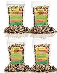 Gardenera Sphagnum Moss Potting Mix for Carnivorous