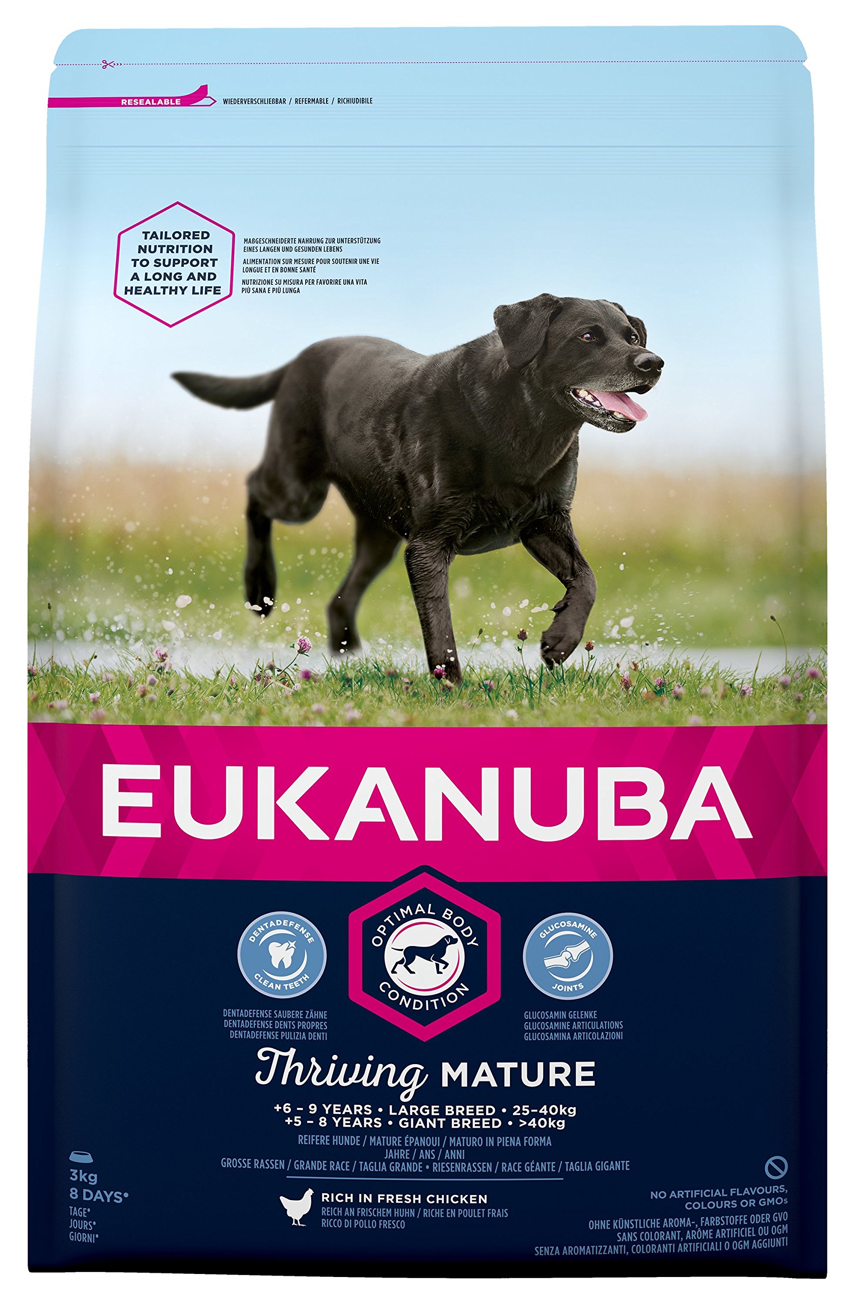 Top Accessoires Canins Selon Les Notes Amazonfr