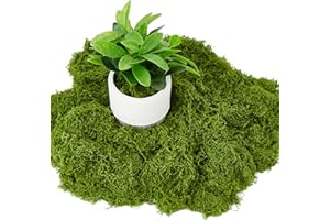 AMVINER 5.3OZ Artificial Fake Green Moss for Crafts, Faux Moss for for Plants Indoor DIY Floral Arrangements, Terrariums, Home Decor, Fairy Gardens
