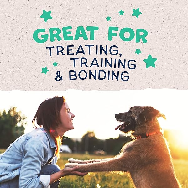 NATURAL BALANCE LIMITED INGREDIENT REWARDS JUMPIN’ STIX, GRAIN-FREE DOG TREATS FOR ADULT DOGS OF ALL BREEDS, CHICKEN RECIPE, 10 OUNCE (PACK OF 1)