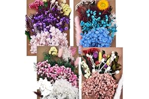 DALARAN 4 Pack Pressed Dried Flowers Multiple Colorful Pressed Flowers for Craft Resin Jewelry Making Art Craft DIY
